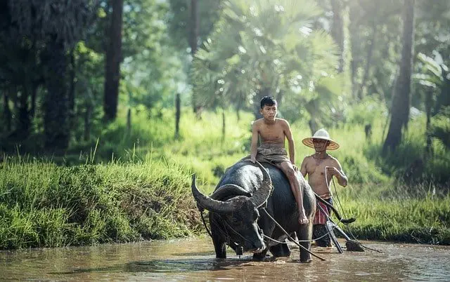 Những Công Việc Mang Tính Xã Hội Cho Trẻ Tự Kỷ: Cơ Hội, Lợi Ích Và Chiến Lược Hỗ Trợ